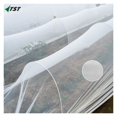 50x25 Mesh 2m*100m Agricultural Anti Insect Net For Greenhouse