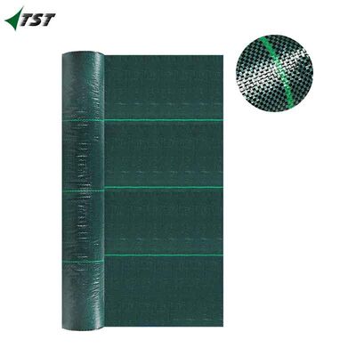 Heavy Duty Green Color Pp Weed Control Ground Cover For Greenhouse Garden
