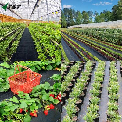 100% Polypropylene Weed Control Mat Landscape Fabric For 3-5 Years Durable Ground Cover