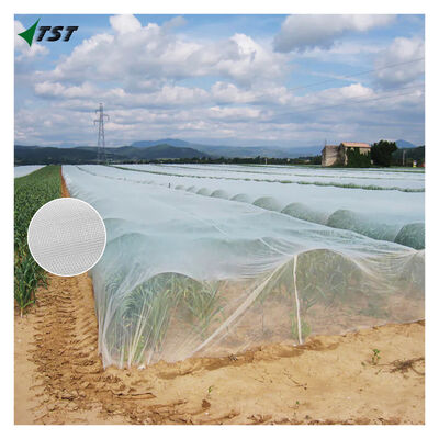 50x25 Mesh 2m*100m Agricultural Anti Insect Net For Greenhouse