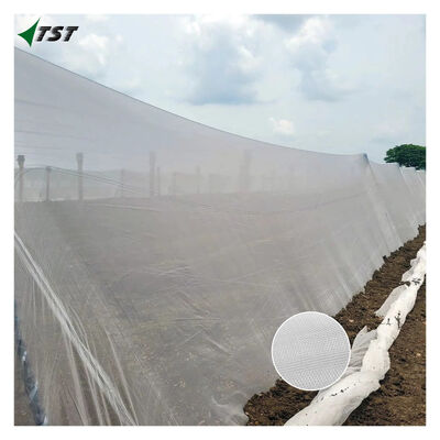 50x25 Mesh 2m*100m Agricultural Anti Insect Net For Greenhouse