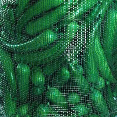 58*86cm Green Color Mexico Pp Leno Mesh Bag For Cucumber Lemon Vegetable Packing