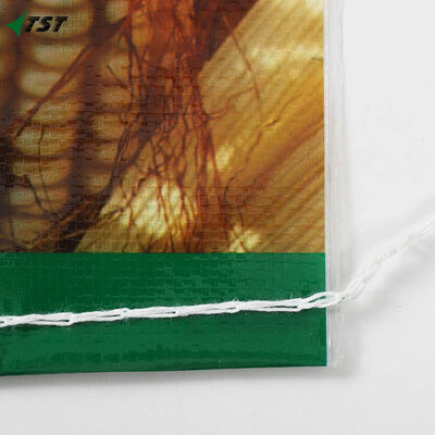 Multicolor 30kg Rice Packaging Printed BOPP Bag Moisture Proof 19x32 Inches