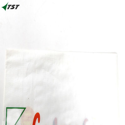 Heavy Duty BOPP Packaging Bags Pillow Gusseted Design Breathable Micro Perforations
