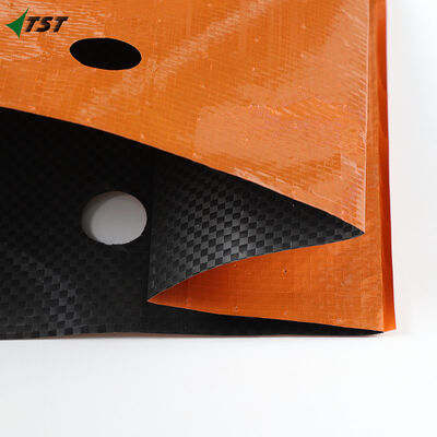 20KG BOPP Laminated Woven Bag for Washed Potatoes Packaging